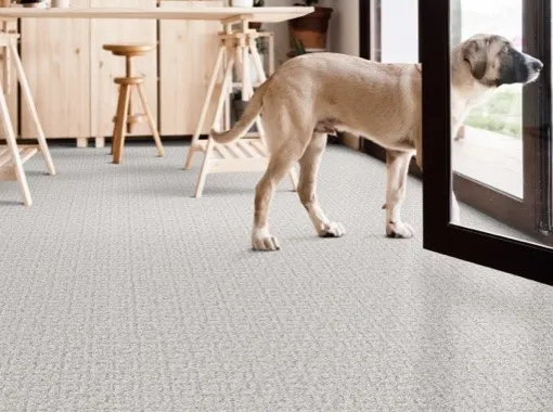 Carpet Flooring | Tri-City Carpet